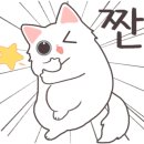 이뮤노팜 이미지