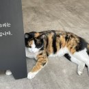 수복네일아트