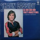 Da Doo Ron Ron(Shaun Cassidy) 이미지