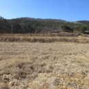 포항시북구13 이미지