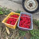 천포2리 이미지