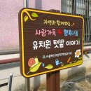 백산초병설유치원 이미지