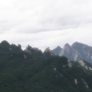 다로 - 청주시 청원구 양청1길 4 | 다로