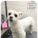 경희궁 바른 동물병원 이미지