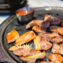 속초 삼겹살 맛집 롯데리조트 주변 돼지고기 대존맛 고기싸롱