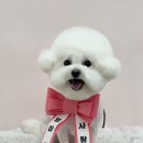 백조미용타운 이미지