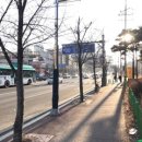 예진카센타 이미지