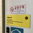 해들인의원 | 신촌 이마보톡스 잘하는곳 한달뒤 후기 (내돈내산)