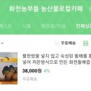 화천돌배즙