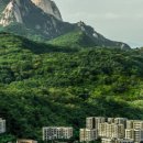 파라스파라 서울 네이버블로그