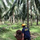 가오농장 이미지