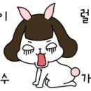 닥터호오 동물병원 이미지