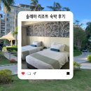 제이잉글리쉬하우스영어교습소 | 세부 한달살기 솔레아 리조트 숙박 후기