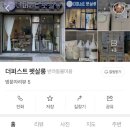 더퍼스트펫살롱 이미지