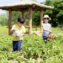 용산2농장 이미지