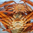 한마음직판장 이미지