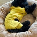 청당산업길 이미지