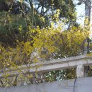 아침풍경 이미지