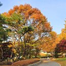 원미공원 이미지