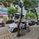 금돼지은돼지 이미지