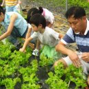 상무농장 이미지