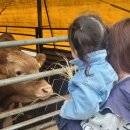 하늘별바다(유) 이미지