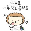 해솔 태권도 이미지