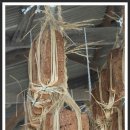 한라아파트 이미지