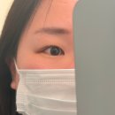 눈이편한 | 송파속눈썹펌 쁘에르 에스테틱 눈이 편한 노글루펌 후기