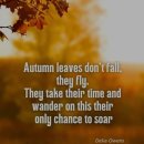 Where the Crawdads Sing | 원서읽기 Where The Crawdads Sing, 가재가 노래하는 곳