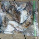 늘푸른낚시 이미지