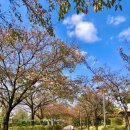 동락공원 민속정원 화장실 이미지