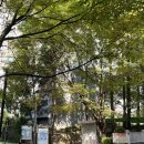 산본타운 | 산본 임장 후기