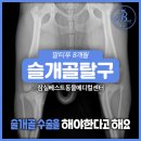 잠실베스트동물병원 수술재활센터 이미지