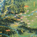 지금은 동(東)의 이미지