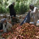 파키스탄, 러시아·이란·아프가니스탄과 물물교환 시작 이미지