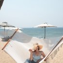 나투리스 이미지