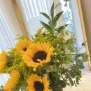 중앙동289 이미지