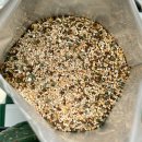 자라우새길 2L | 프라임 적옥토 녹소토 난석 제오라이트 송이석 혼합 1.5L ]내돈내산 알로카시아 프라이덱 분갈이 후기