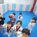 한길찬 태권도장 이미지