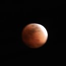 봄동살롱 | 대보름날 찾아 온 블루문, 그리고 봄을 알리는 봄동