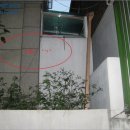 신월동166 이미지