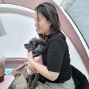 서분식 | 명동 피부과 비만클리닉 다이어트로 늘어진 턱살 이중턱 온다 지방분해주사