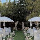 카페캐빈하우스 이미지