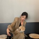 멜트아 이미지