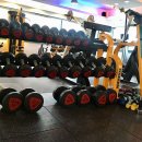 드림피트니스 이미지