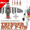 [썬더볼트 플젝] 1/48 P47-D-R2 Thunderbolt Ver.JR 제작기2탄 (개수2) 이미지