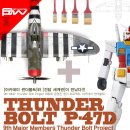 [썬더볼트 플젝] 1/48 P47-D-R2 Thunderbolt Ver.JR 제작기1탄 (가조&개수) 이미지