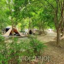 광주시민의숲 야영장 이미지