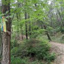 화창군묘 이미지